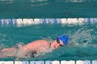 Swimming vs Babson  Wheaton College Swimming & Diving vs Babson College. - Photo By: KEITH NORDSTROM : Wheaton, Swimming